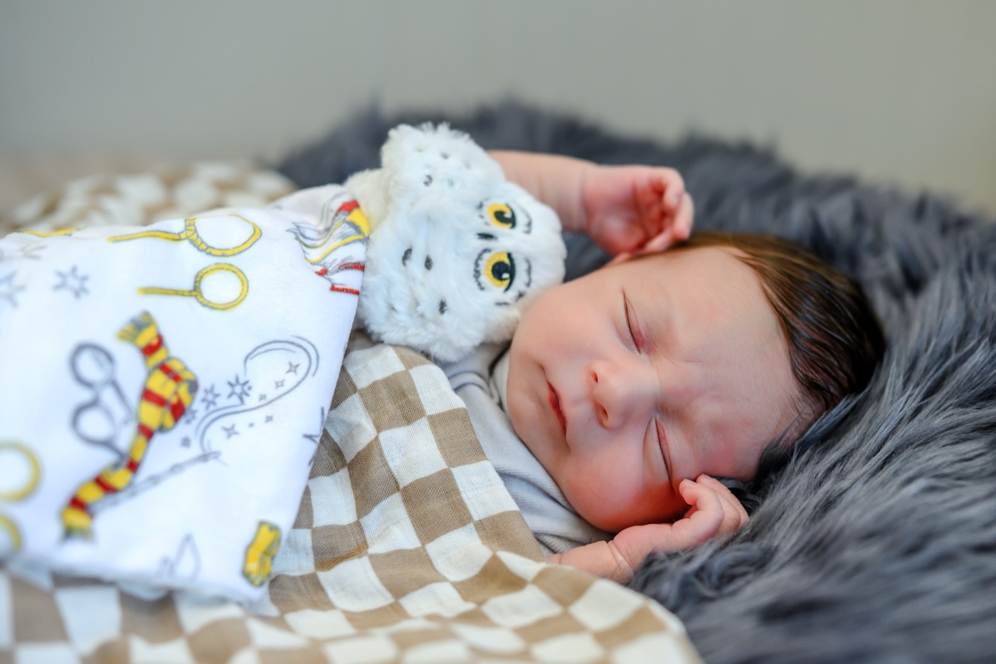 Baby Haney newborn session